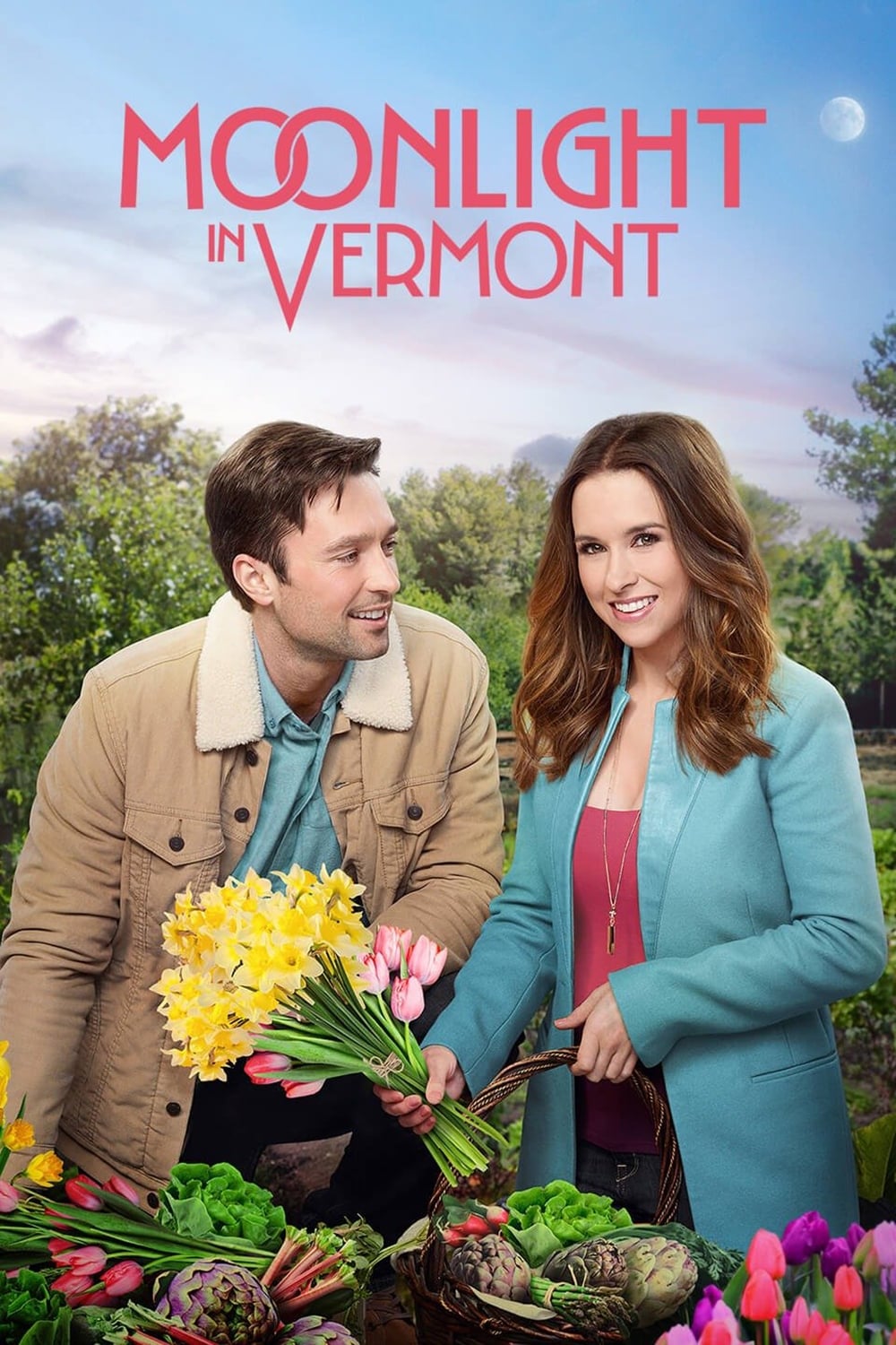 Постер Moonlight in Vermont